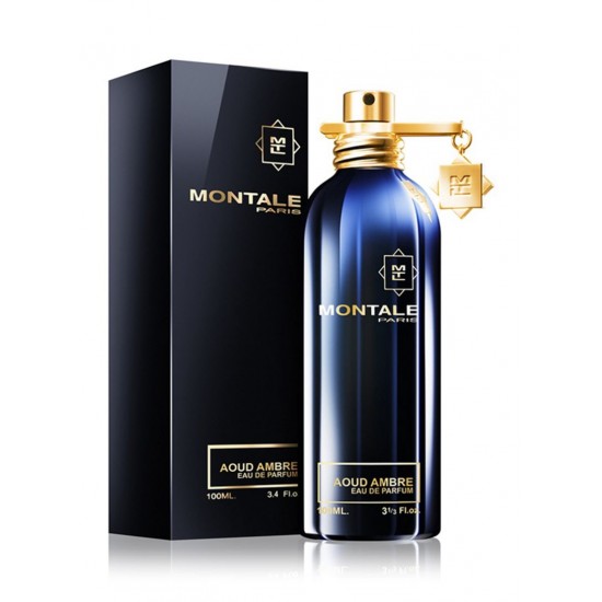 Montale Aoud Ambre EDP 100ml Unisex