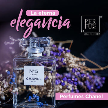 blog chanel portada (1)