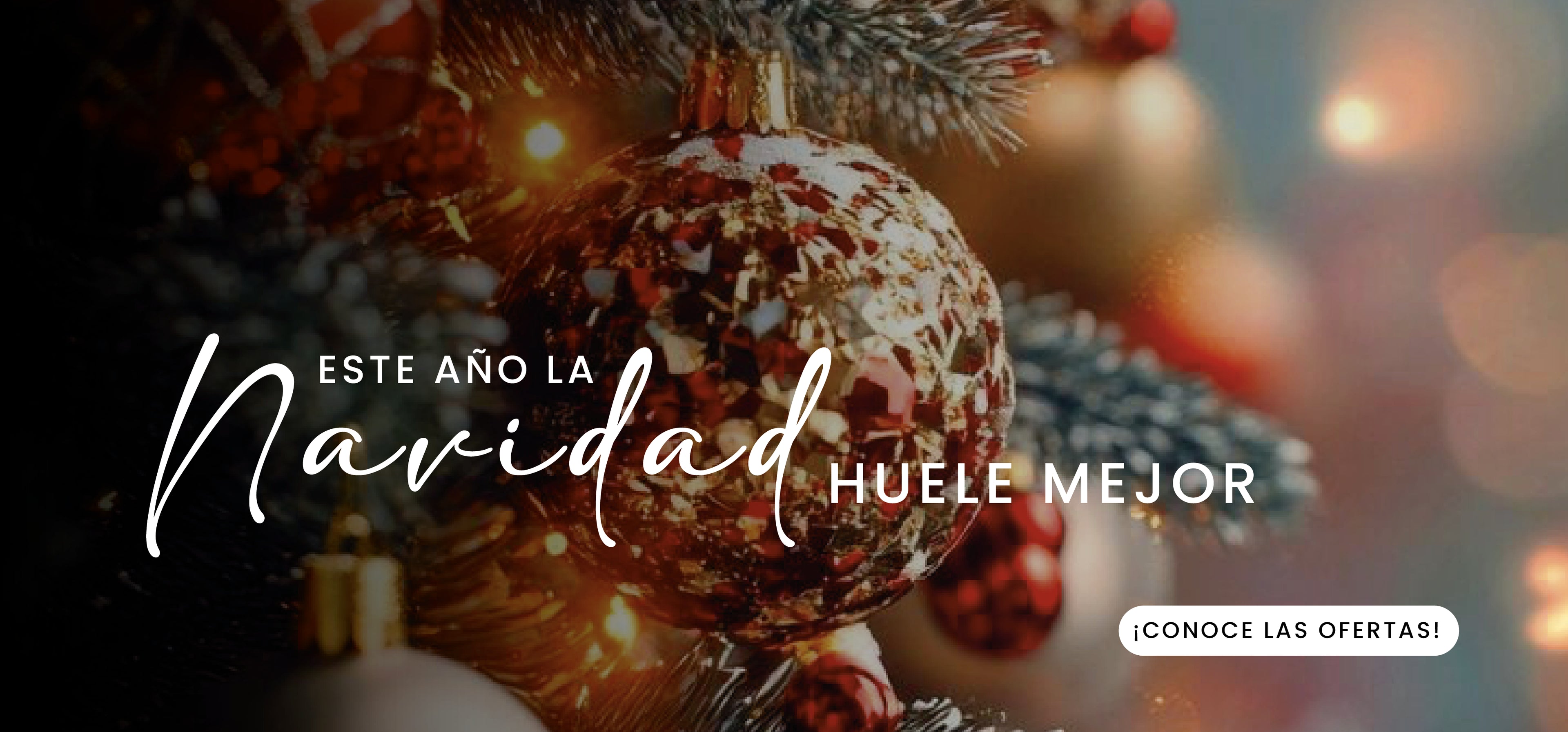 slider image slider_item_PBKqLh